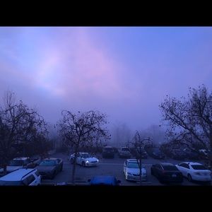 Meet your Posher, Morriah